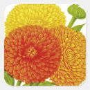 Suche nach ringelblume aufkleber Floral