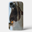 Suche nach ente ipad hüllen John james audubon