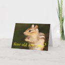 Suche nach lustige chipmunks karten Tierwelt