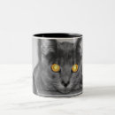 Suche nach katzenauge tassen Kitty