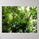 Suche nach tropischer regenwald poster Natur