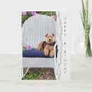 Suche nach terre karten Haustier