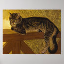 Suche nach tabbykatzen poster Tiere