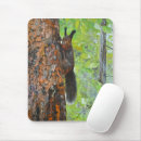 Suche nach ölgemälde mousepads Wald