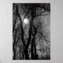 Suche nach baum silhouette poster Modern