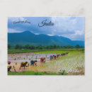 Suche nach paddy poster Bauer