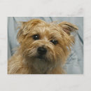 Suche nach disketten postkarten Ohren