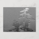 Suche nach bonsai postkarten Bäume