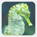 Suche nach aquarium aufkleber Unterwasser