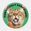 Suche nach funny cat magnete Tier