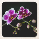 Suche nach orchid untersetzer Rot