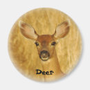 Suche nach wild lebende tiere magnete Rotwild