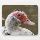 Suche nach enten mousepads Geflügel