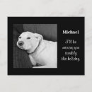 Suche nach trauriger hund postkarten Niedlich