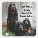 Suche nach gordon setter aufkleber Tier