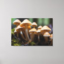 Suche nach pilz leinwandbilder Natur