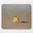 Suche nach krabben mousepads Meer