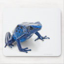 Suche nach dendrobates Tier