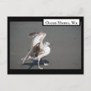 Suche nach möwen postkarten Strände