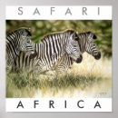 Suche nach safari poster Zebra