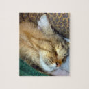 Suche nach münze puzzle Katze