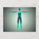 Suche nach anatomie postkarten Medizinisch