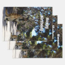 Suche nach känguru geschenkpapier Tierwelt