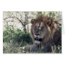 Suche nach löwekönig Afrika