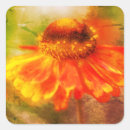 Suche nach zinnia aufkleber Natur