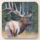 Suche nach stier untersetzer Kanada