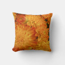 Suche nach chrysantheme kissen Pflanze