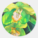 Suche nach grüne orchidee aufkleber Botanisch