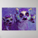 Suche nach lemur poster Tiere
