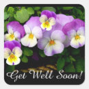 Suche nach get aufkleber Stiefmütterchen