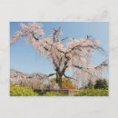 Suche nach japanischer kirschbaum poster Japanische kultur