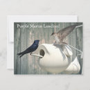 Suche nach swallow poster Vögel