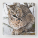 Suche nach felidae poster Elizabeth boehm