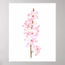Suche nach rosa kirschblüte poster Blume