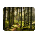 Suche nach wald magnete Moos