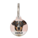 Suche nach begleiter wohnen zuhause Dogs