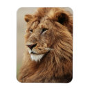 Suche nach männlicher löwe magnete Tier