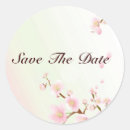 Suche nach kirschblüte aufkleber Blume