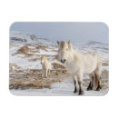 Suche nach isländisch magnete Schnee