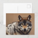 Suche nach wolf im wald postkarten Hund