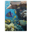 Suche nach fisch klemmbrett Blau