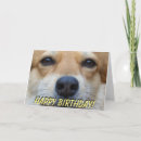 Suche nach personifizieren geburtstag karten Alles gute zum geburtstag