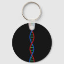 Suche nach dna schlüsselanhänger Science
