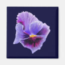 Suche nach panik magnete Blume