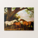 Suche nach fohlen puzzle Pferd