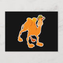 Suche nach cartoon kamel postkarten Kamele